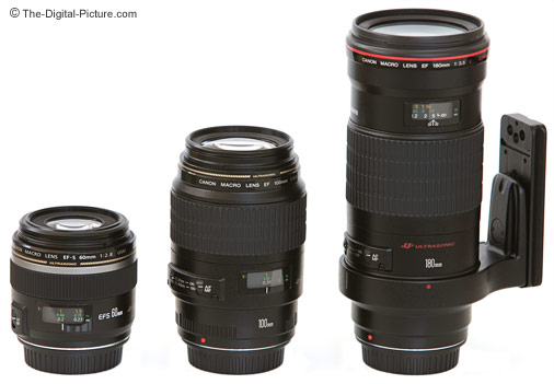 Canon-Macro-Lenses-Comparison.jpg