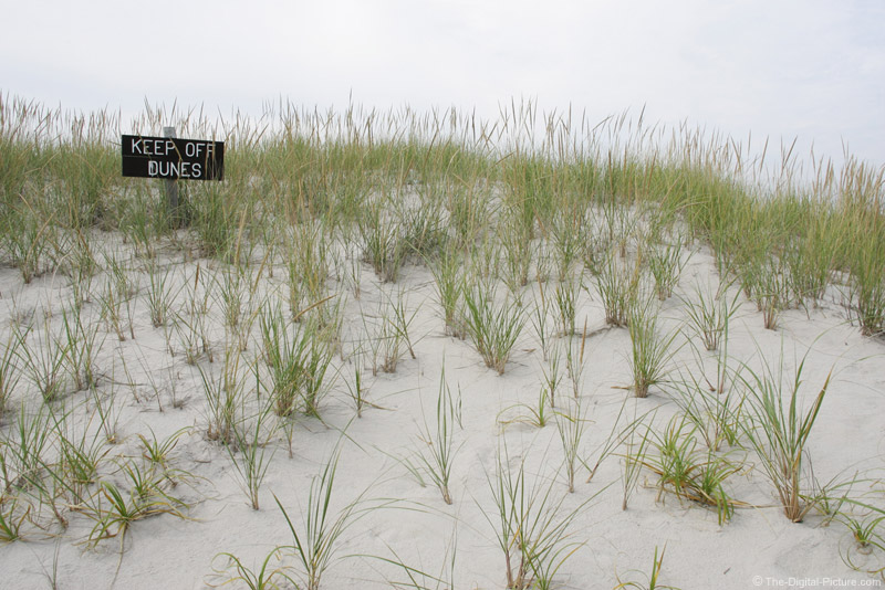 Keep Off Dunes Picture