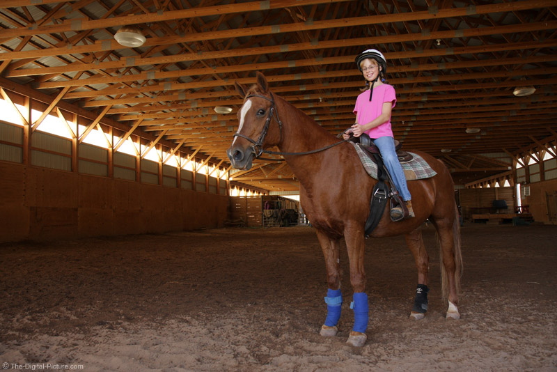 Horse and Rider in Indoor Riding Facility