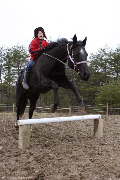 Horse Jumping Picture