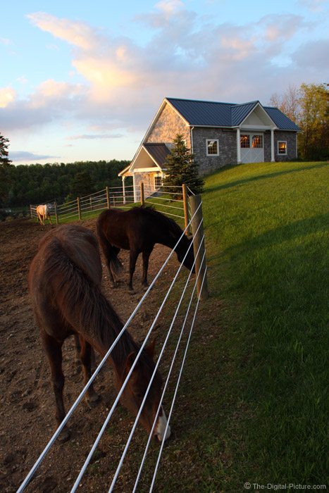 Fence, Horses and a Barn