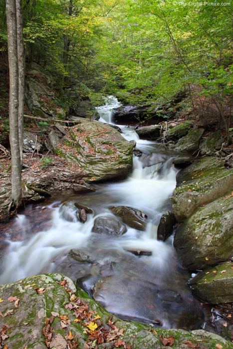 Mountain Stream Picture