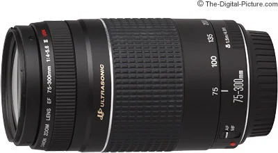 Lens f/4-5.6 Review Canon 75-300mm USM III EF