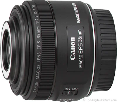 Canon EF-S 35mm f/2.8 Macro Lens Review STM IS
