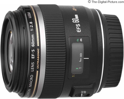 Canon EF-S f/2.8 Macro Lens Review