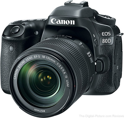 viering Meter vroegrijp Canon EOS 80D Review