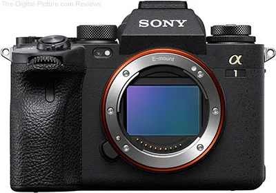 Sony Alpha 6400 6 Month Review - Is it good for beginners? 